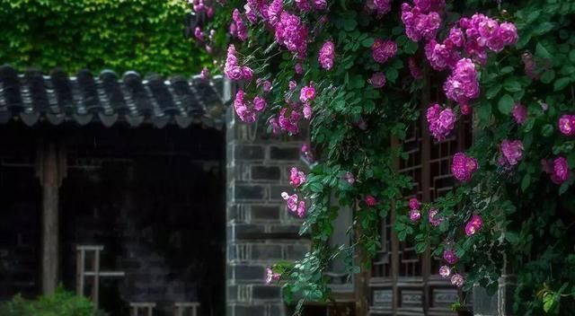 佛法|遇到诽谤佛法之人,我们该与之辩论还是争吵?