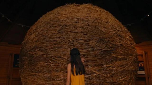 不到|一集不到10分钟,细数禁忌怪谈