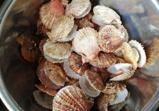餐馆|蒜末粉丝蒸扇贝的生活中做法,多了这2步比餐馆做的更香,一盆不足