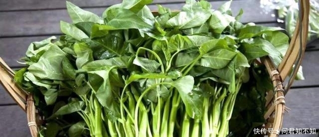 过瘾|炒空心菜时,提前做这一步,炒出来的空心菜碧绿脆口,比吃肉过瘾