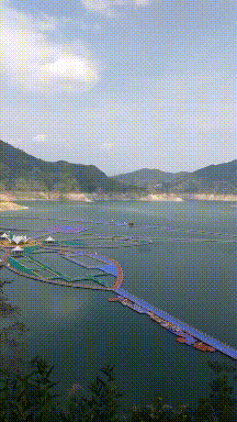 结婚|搞笑GIF动图：如果此时此刻你也这画面中，那么我们就结婚吧