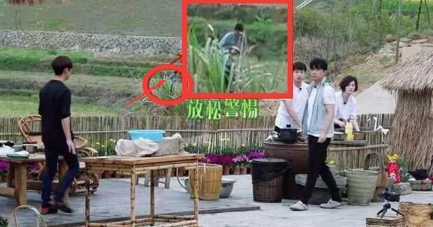 节目组|黄磊做饭,摄像师不小心穿帮,网友大呼原来都是节目组准备好的