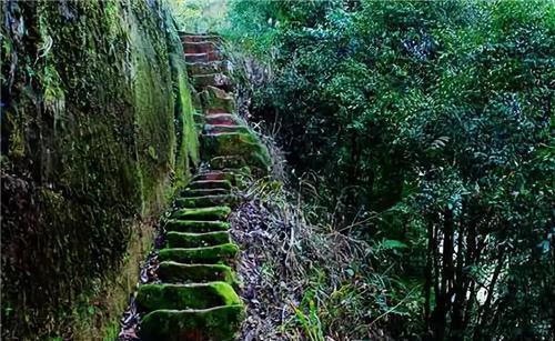 男子|男子隐居深山50年,为爱凿出6000级天梯,只为换妻子一个笑容