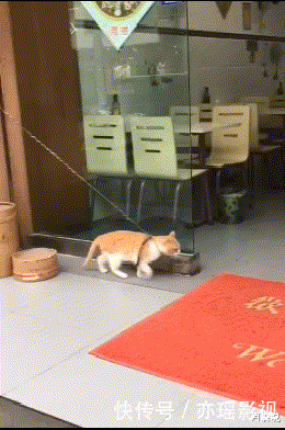 足球|让妹纸来告诉你什么才叫颠足球，哈哈哈哈