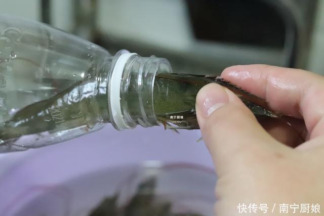 冰箱|鲜虾保存第一步放冰箱?大错特错,多做这一步,放1年鲜美不发黑