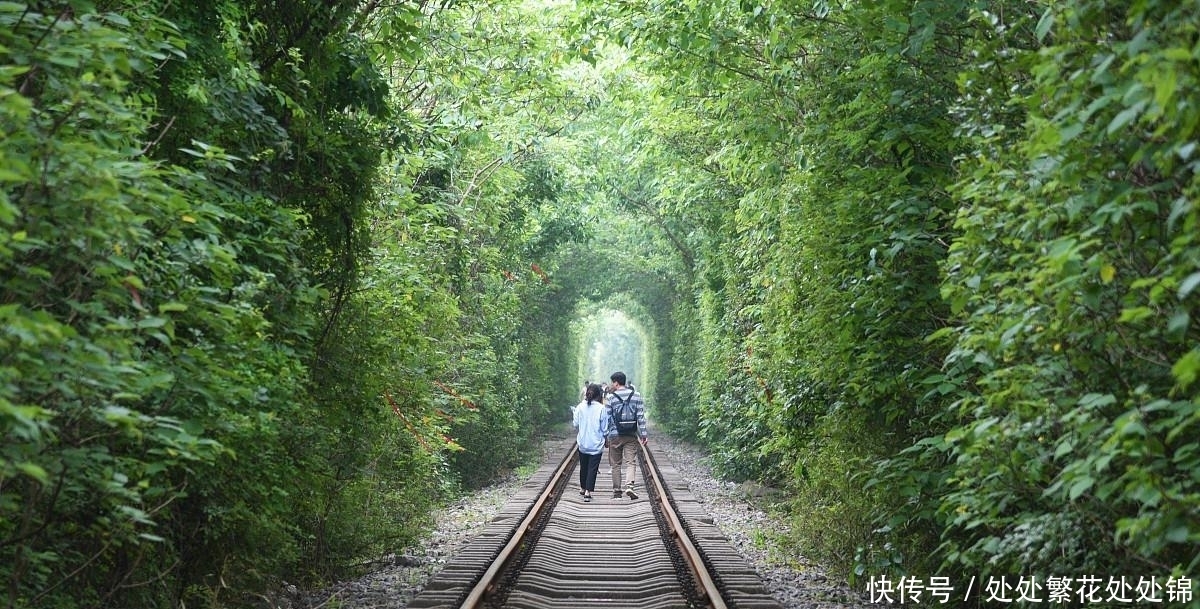 电线杆|散文:《撞上电线杆》