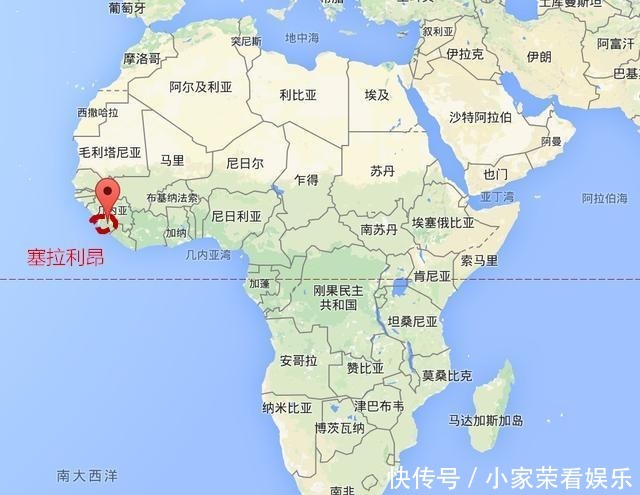 动物|提姆那灰鹦鹉在红树林里不受保护,随意捕捉,小孩养着玩