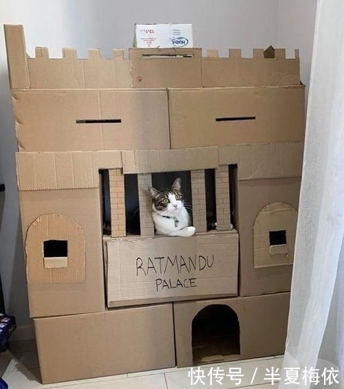 豪华|有才!外国网友用废纸箱,给喵星人打造豪华城堡