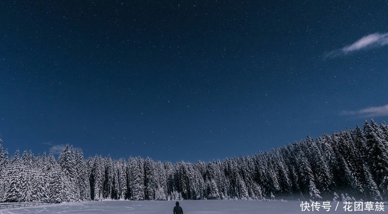 生肖|8月开始财运上佳,财运滚滚到,收入攀升的四大生肖