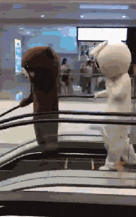  搞笑|搞笑GIF：护士姐姐你下手轻点，我怕疼