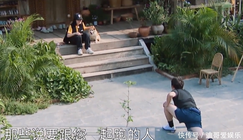 不少观众|《向往4》黄磊晨跑张子枫晨读,其他嘉宾还在大睡,现状引起共鸣