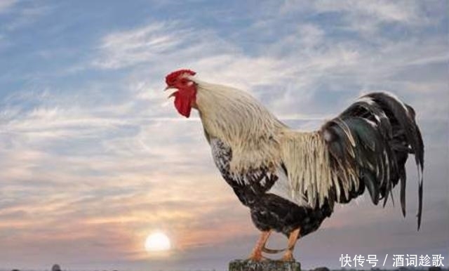 更火|古人讲“一更人,二更火,三更鬼”,四、五更是啥?古人智慧之谈