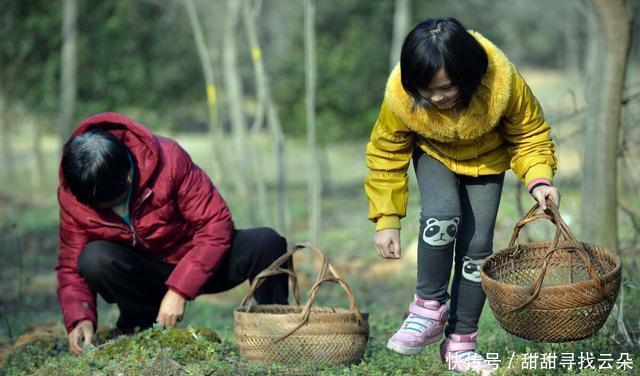 超级|小时候树林堆成山的“野果”，做豆腐超级美味，现在城里人排队买