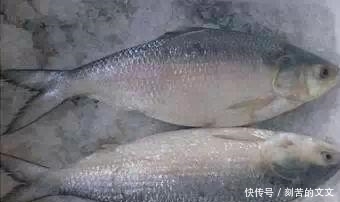 认出|海鲜大全, 你能认出多少