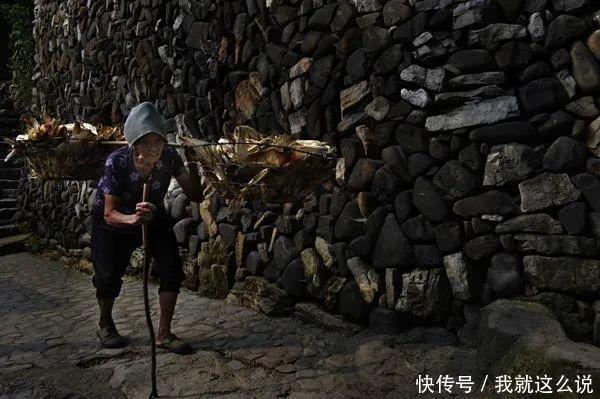 老人|老人“死在家中无人知”的悲剧,是子女赡养老人不及格的答卷!