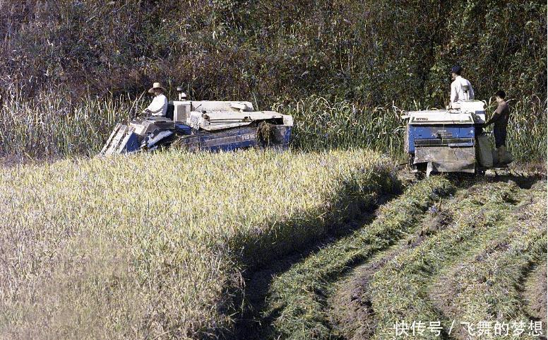 朝韩非军|中国的两个邻国, 未正式划定国界线, 若实现永久和平, 此村要发达！