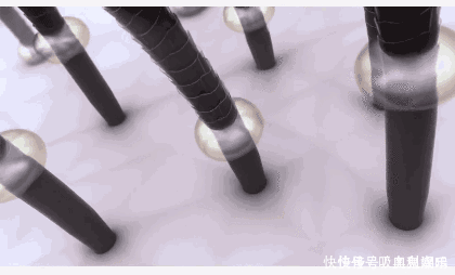  真的|3款容易“踩雷”的洗发水，用后头痒又起头皮屑，没用过真的幸运