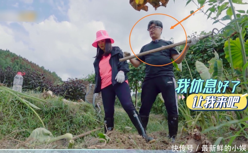 太精彩|王岳伦干农活李湘站旁边看，张萌称自己不会这样，李湘表情太精彩