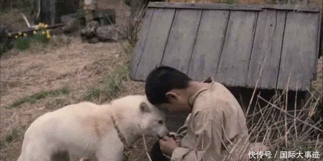 离家出走|被父母家暴后,13岁男孩离家出走到深山,一呆就是43年