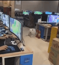 GIF|搞笑GIF:就一招神龙摆尾了!