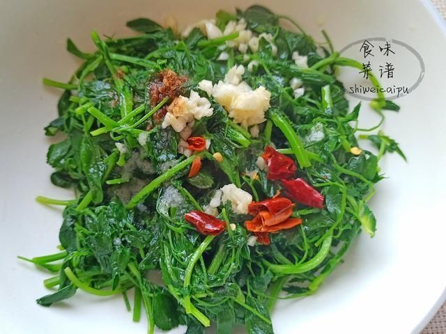 苜蓿菜|春天碰到这野菜别犹豫,我一买就是20斤,营养价值高,常吃身体好