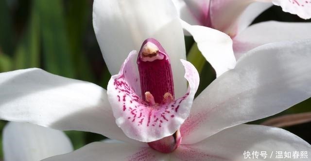 降临|在8月下旬,摆脱困境,好运降临,旗开得胜的三大星座