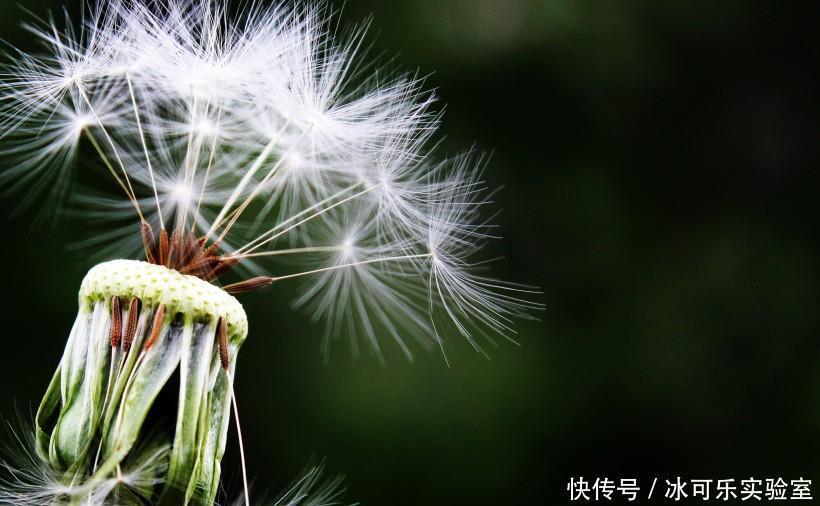 组合|这两个生肖做夫妻，感情特别深厚，在一起就是天长地久！