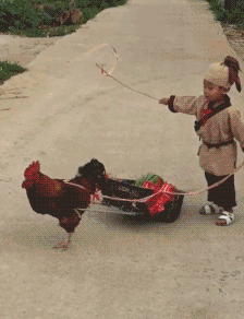 搞笑|搞笑GIF:这是一个悲伤的故事!!