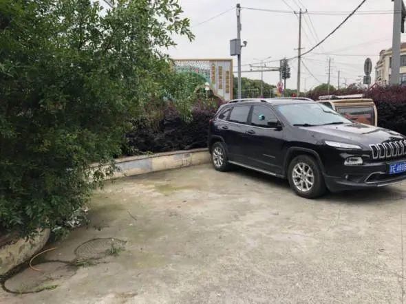 整改前|文明创建曝光台丨又有哪些不文明行为被曝光