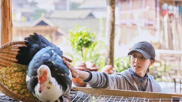 生活|为什么《向往的生活》口碑一季不如一季?赚到了钱却毁了好口碑