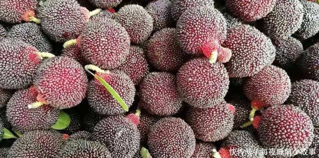 冻西瓜|这五种水果冻着吃远比直接吃更美味,特别是第二种,都说百吃不厌