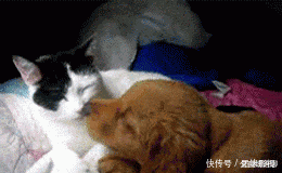 破车|“凭什么男人管20w的车叫破车，给女方20w的彩礼就喊天价？”