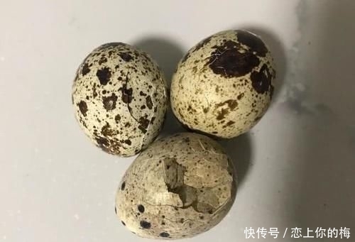 天天|它被称为动物中的“人参”,天天做给孩子吃,考学期间立大功