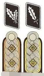 区别|二战时德军军衔最难分辨，特别是上校和准将的军衔怎么区别？