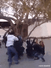 尾焰|搞笑GIF:飞机尾焰挺好看