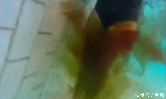 水变红|游泳池的水变红, 人们误解女子来“大姨妈”, 原因却让人感到尴尬