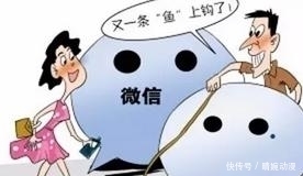  女友|网络交友是诱饵，电信诈骗才是真 警惕“美丽陷阱”