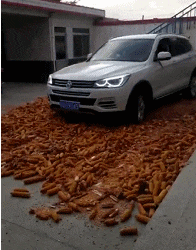  生活|搞笑GIF动图：妹子们也是拼啦！这给力的生活