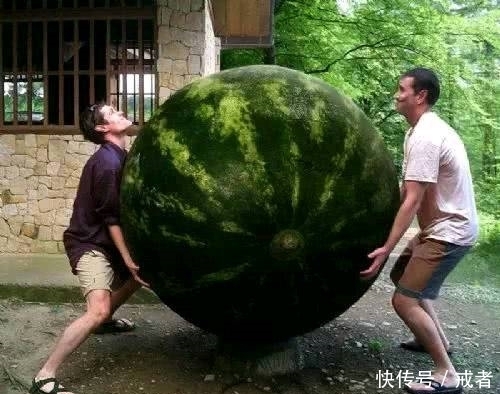  段子|趣味图片幽默段子： 大哥，你以为坐得高学习就好吗，哈哈哈