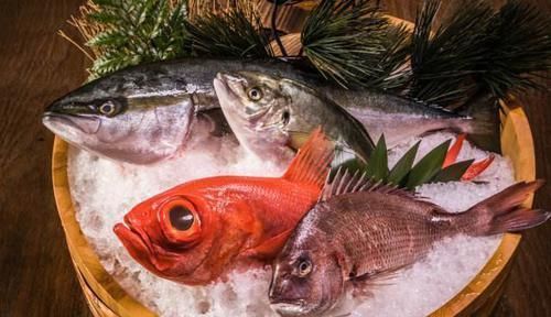 动物|日本人这种鱼比“黄金”还贵中国人天天能吃太令人眼红了