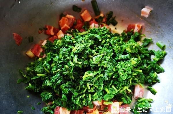 绿色|这菜就算吃过,也叫不出来名字,绿色纯天然,蒸包子最好吃了