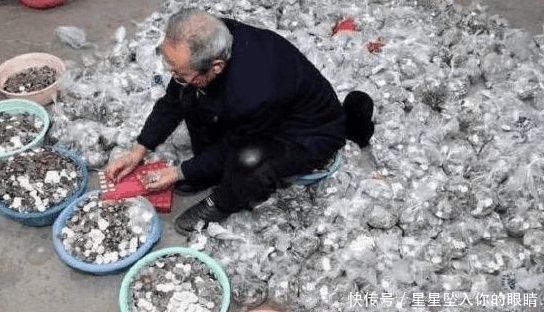 银行|老人半生积蓄存入银行被拒，说明情况后银行的做法很暖心