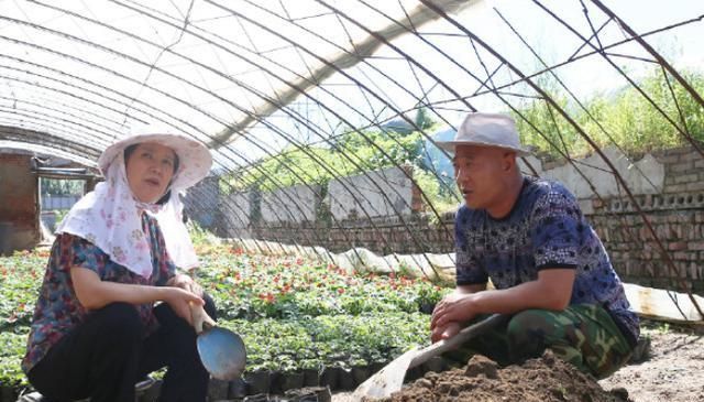 来自|来自“尼古拉斯赵四”的倔强:酒驾是假新闻,没有的事!