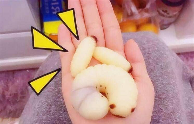 最爱|零食界最奇葩的4种美食,第一种网红最爱,最后两种好恶心啊