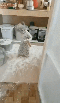 运动型|搞笑GIF：听说男生都喜欢运动型的女生，那我呢？