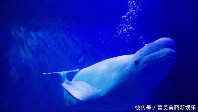 看过|看过太多的海,仍为这座“北方明珠”着迷