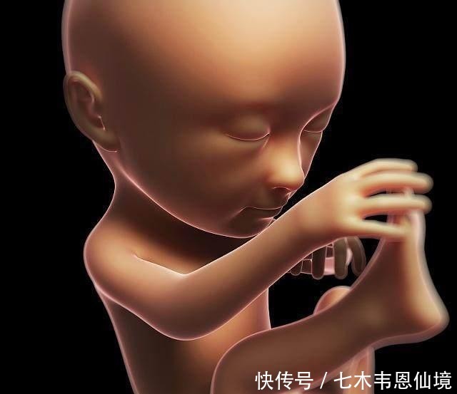 医生|四维做到一半,小家伙竟然在妈妈腹中干“坏事”,连医生都乐了