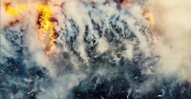 图源|北极圈着火!气温直逼38度,科学家恐冰川融化远古病毒复活