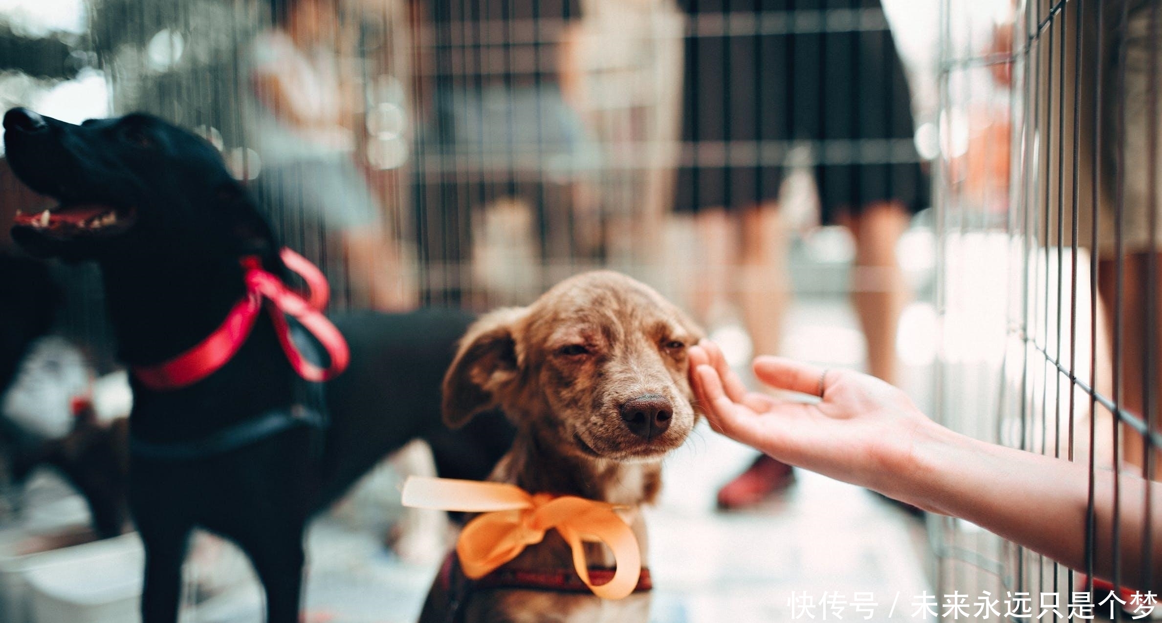 已婚|30岁已婚男的经验之谈:越是一无所有的女人,越贪得无厌