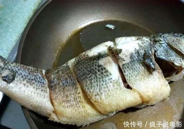  如今|曾入侵我国的非洲“鱼王”，如今过得怎么样了?鱼王：我太难了